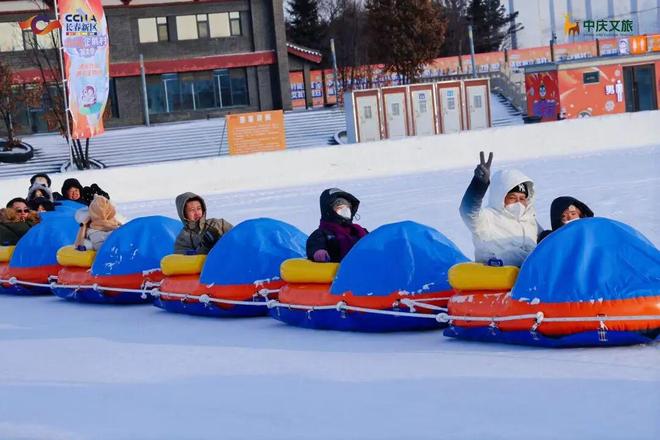 一！16只巴布亚企鹅亮相长春j9九游会真人游戏第一全国唯(图3)