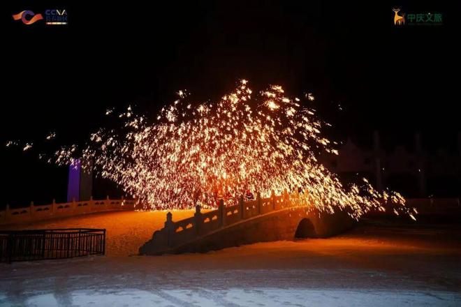 一！16只巴布亚企鹅亮相长春j9九游会真人游戏第一全国唯(图6)