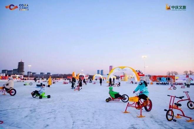 一！16只巴布亚企鹅亮相长春j9九游会真